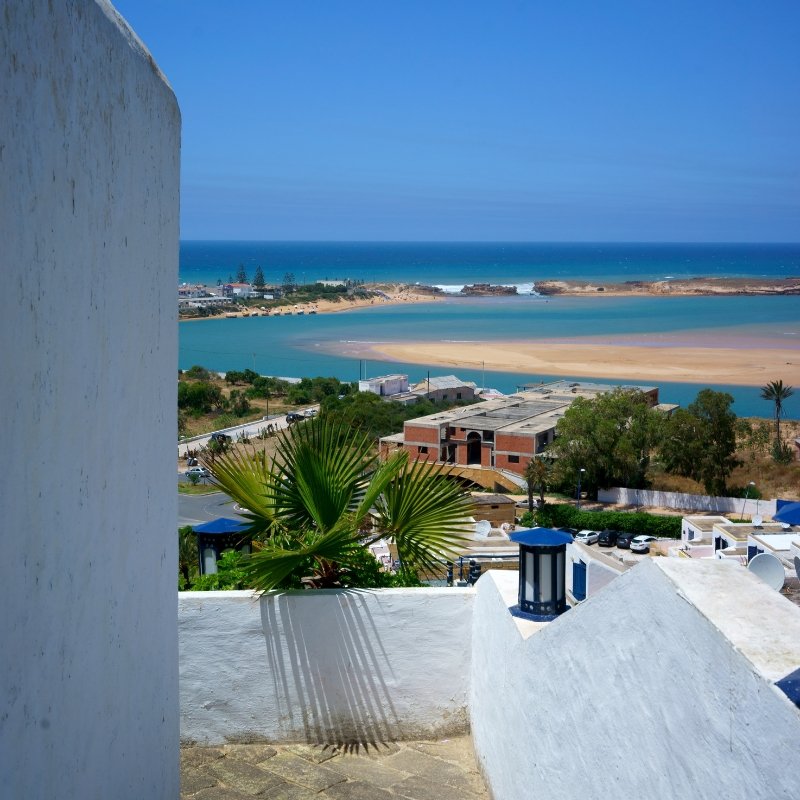 Fresh Oysters Tasting