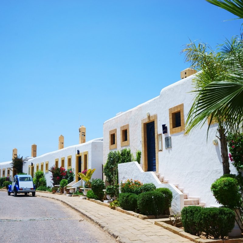 Oualidia Beach Relaxation