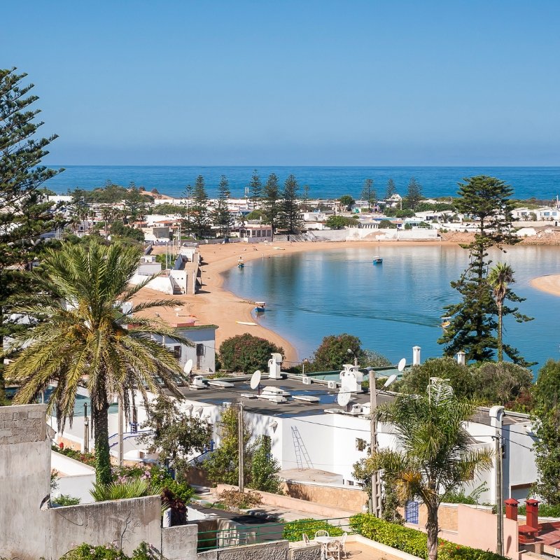 Bird Watching Wetlands
